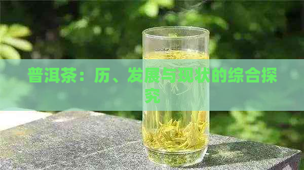 普洱茶：历、发展与现状的综合探究