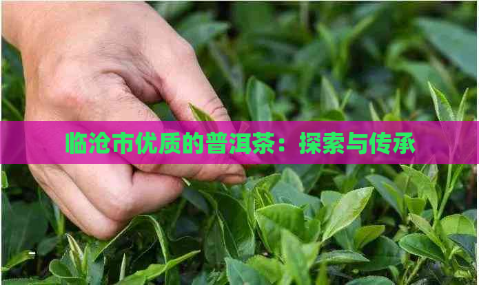 临沧市优质的普洱茶：探索与传承