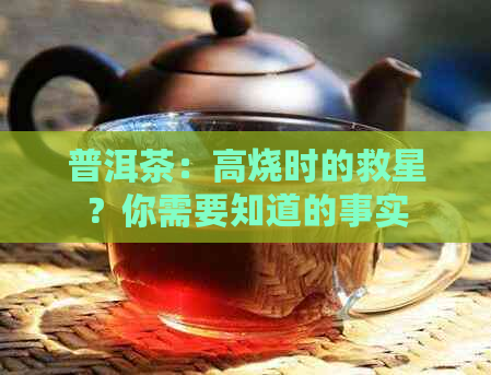 普洱茶：高烧时的救星？你需要知道的事实