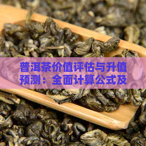 普洱茶价值评估与升值预测：全面计算公式及实际案例分析