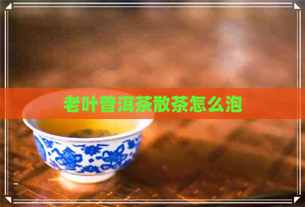 老叶普洱茶散茶怎么泡