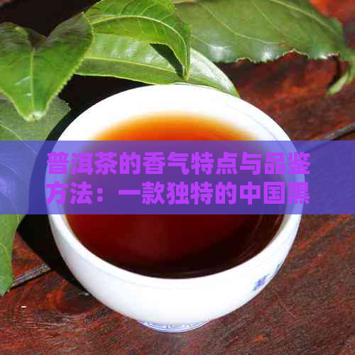 普洱茶的香气特点与品鉴方法：一款独特的中国黑茶