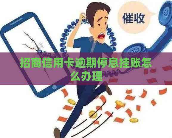 招商信用卡逾期停息挂账怎么办理