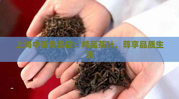 上海中茶专卖店：精品茶叶，尊享品质生活