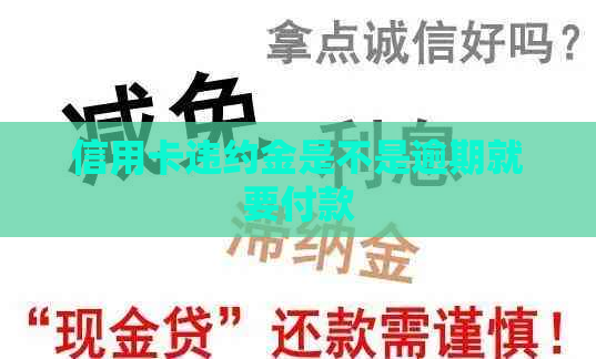 信用卡违约金是不是逾期就要付款