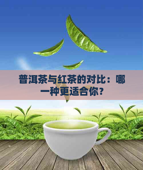 普洱茶与红茶的对比：哪一种更适合你？