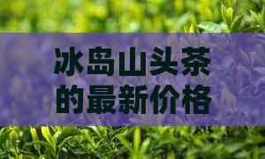 冰岛山头茶的最新价格及购买渠道，让你轻松了解市场行情