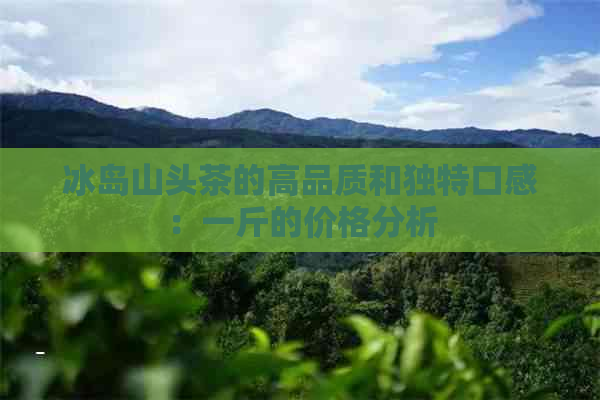 冰岛山头茶的高品质和独特口感：一斤的价格分析