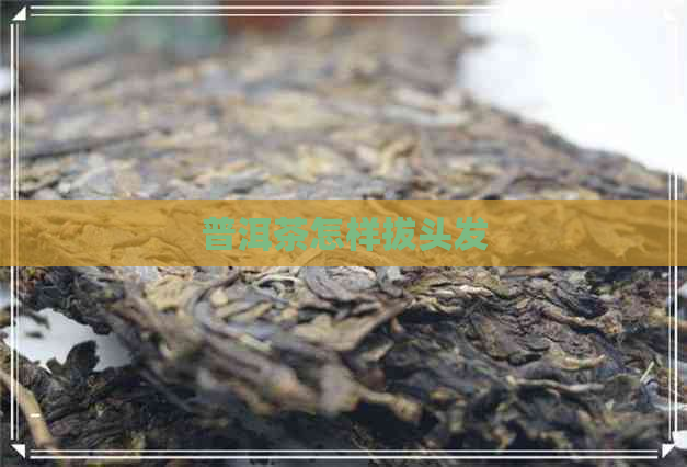 普洱茶怎样拔头发