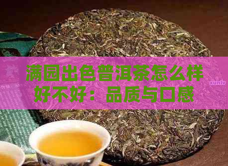 满园出色普洱茶怎么样好不好：品质与口感并存的佳品