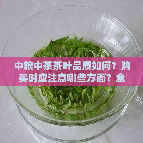 中粮中茶茶叶品质如何？购买时应注意哪些方面？全面了解中茶与产品特点