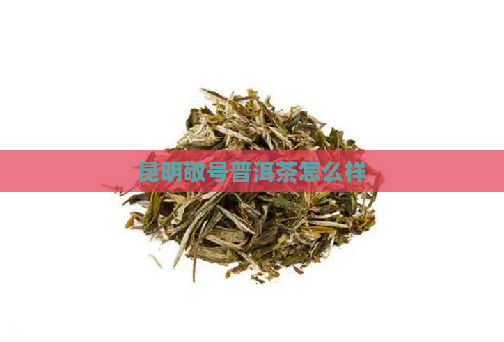 昆明敬号普洱茶怎么样