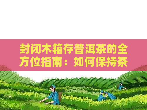 封闭木箱存普洱茶的全方位指南：如何保持茶叶品质与保存方法