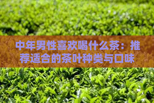 中年男性喜欢喝什么茶：推荐适合的茶叶种类与口味