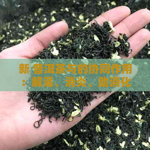 新 普洱茶与的协同作用：解渴、消炎、助消化等多重功效解析