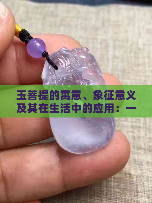 玉菩提的寓意、象征意义及其在生活中的应用：一次全面的探索