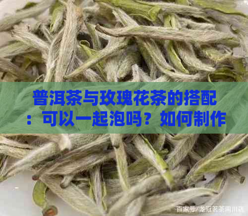 普洱茶与玫瑰花茶的搭配：可以一起泡吗？如何制作？有哪些注意事项？