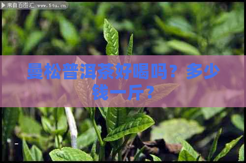 曼松普洱茶好喝吗？多少钱一斤？