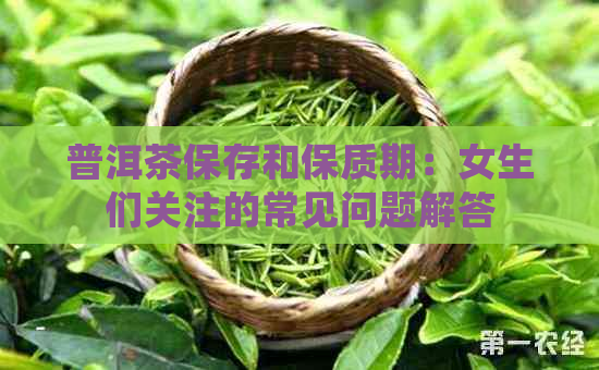 普洱茶保存和保质期：女生们关注的常见问题解答