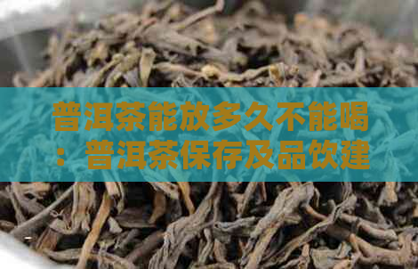 普洱茶能放多久不能喝：普洱茶保存及品饮建议，探究普洱茶的保质期。