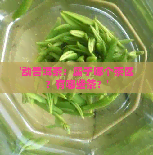 '勐普洱茶：属于哪个茶区？有哪些茶？'