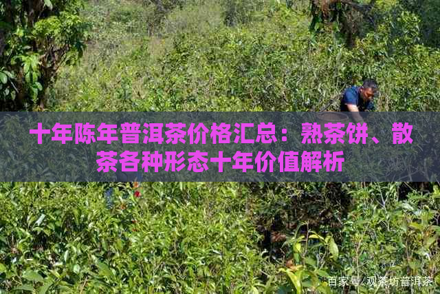 十年陈年普洱茶价格汇总：熟茶饼、散茶各种形态十年价值解析