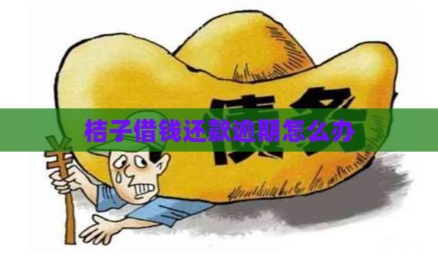 桔子借钱还款逾期怎么办