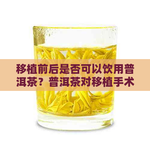 移植前后是否可以饮用普洱茶？普洱茶对移植手术的影响及注意事项是什么？