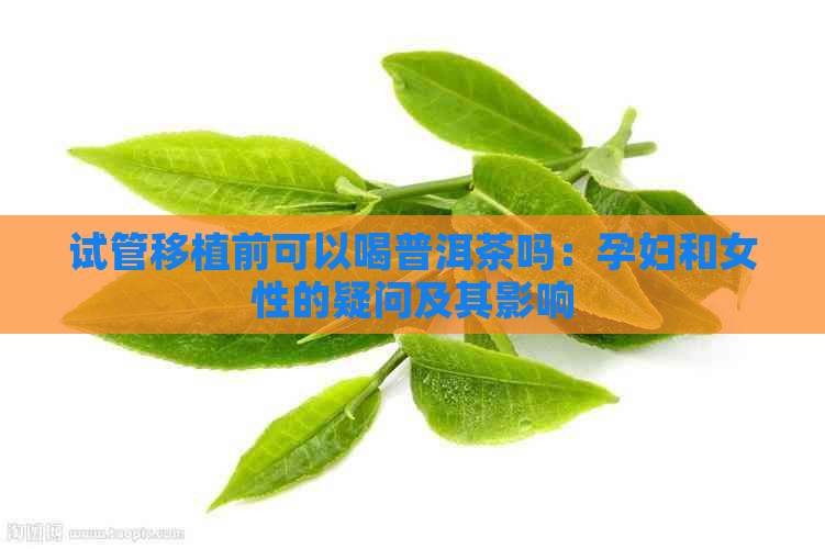 试管移植前可以喝普洱茶吗：孕妇和女性的疑问及其影响