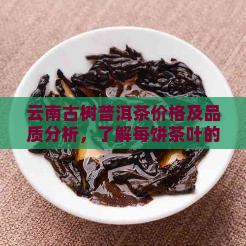 云南古树普洱茶价格及品质分析，了解每饼茶叶的真正价值