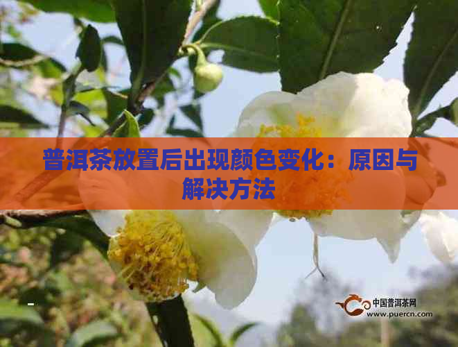 普洱茶放置后出现颜色变化：原因与解决方法