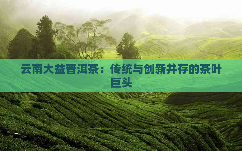 云南大益普洱茶：传统与创新并存的茶叶巨头