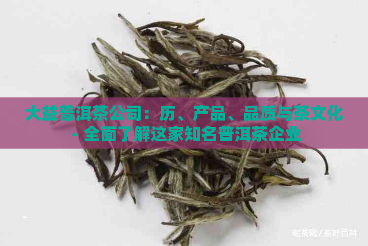 大益普洱茶公司：历、产品、品质与茶文化 - 全面了解这家知名普洱茶企业