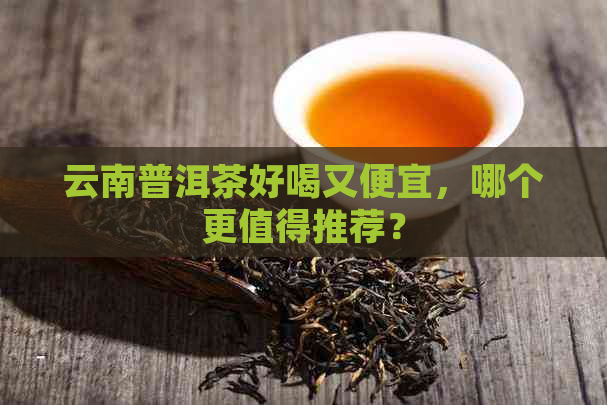 云南普洱茶好喝又便宜，哪个更值得推荐？