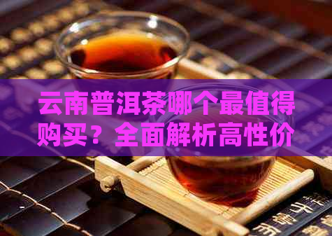云南普洱茶哪个最值得购买？全面解析高性价比茶叶排行榜