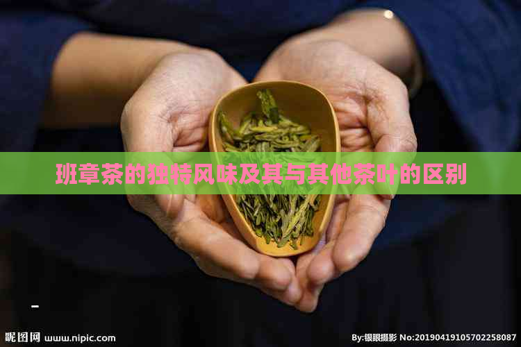 班章茶的独特风味及其与其他茶叶的区别