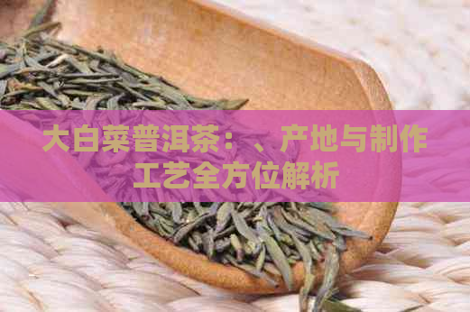 大白菜普洱茶：、产地与制作工艺全方位解析