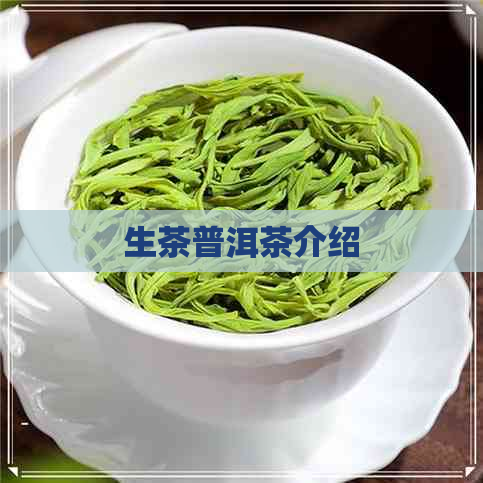 生茶普洱茶介绍