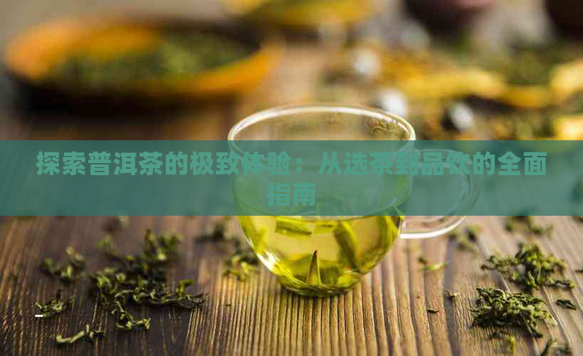 探索普洱茶的极致体验：从选茶到品饮的全面指南