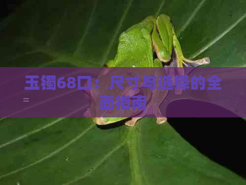 玉镯68口：尺寸与选择的全面指南