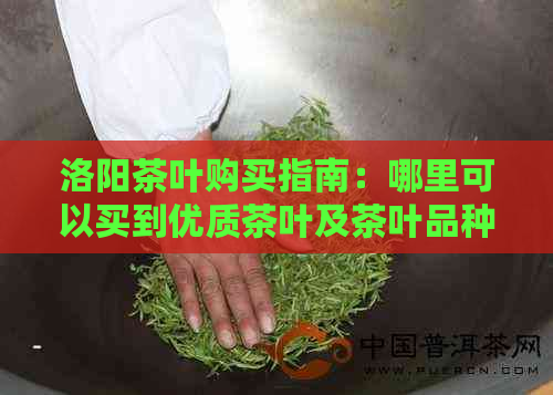 洛阳茶叶购买指南：哪里可以买到优质茶叶及茶叶品种推荐