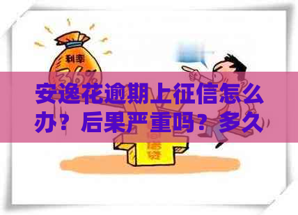 安逸花逾期上怎么办？后果严重吗？多久上？收费如何？