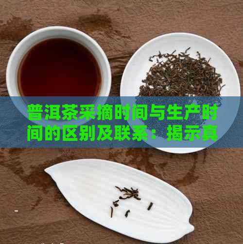 普洱茶采摘时间与生产时间的区别及联系：揭示真实的普洱茶制作过程