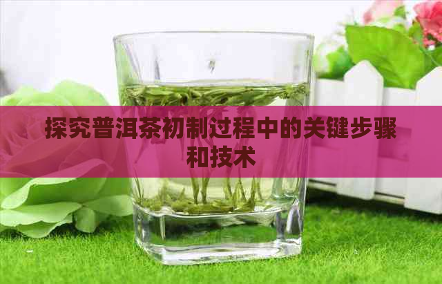 探究普洱茶初制过程中的关键步骤和技术