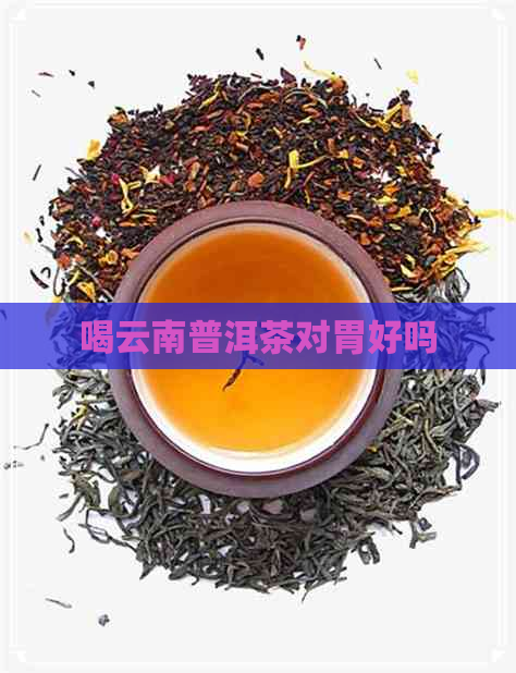 喝云南普洱茶对胃好吗