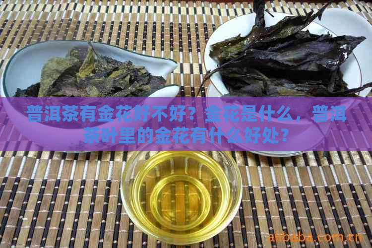 普洱茶有金花好不好？金花是什么，普洱茶叶里的金花有什么好处？