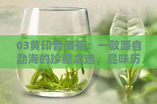 03黄印普洱茶：一款源自勐海的珍藏之选，品味历与现代的完美融合