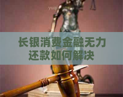 长银消费金融无力还款如何解决