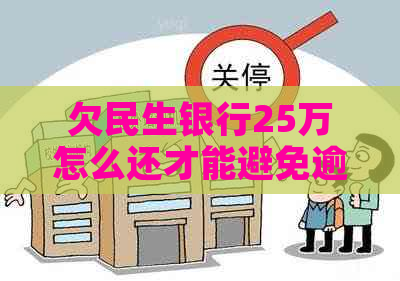 欠民生银行25万怎么还才能避免逾期罚款