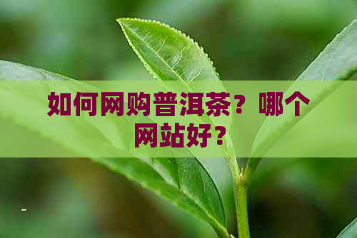 如何网购普洱茶？哪个网站好？